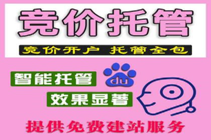 解析SEM代运营托管公司在市场竞争中的角色